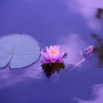 Creëer een meditatieve tuin voor een ontspannen zomer