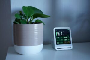 Hoe-leer-je-planten-communiceren-met-sensoren-pexels_32079712