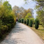 Personaliseer je tuinpad met gepersonaliseerde betonklinkers