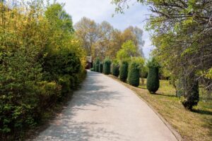 Personaliseer-je-tuinpad-met-gepersonaliseerde-betonklinkers-pexels_31758659
