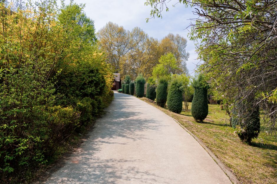 Personaliseer-je-tuinpad-met-gepersonaliseerde-betonklinkers-pexels_31758659