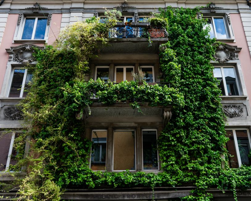 Hangende planten versieren een kleine balkonruimte. Hangende planten versieren een kleine balkonruimte.