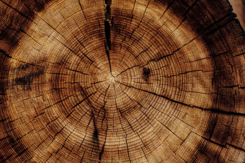 Interieur-ideeen-met-Schotse-hooglander-kunst-robuuste-rustiek-ontmoet-modern-unsplash_xzPMUMDDsfk