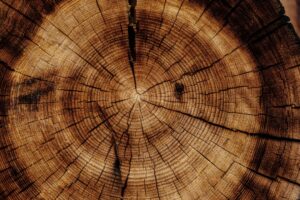 Interieur-ideeen-met-Schotse-hooglander-kunst-robuuste-rustiek-ontmoet-modern-unsplash_xzPMUMDDsfk