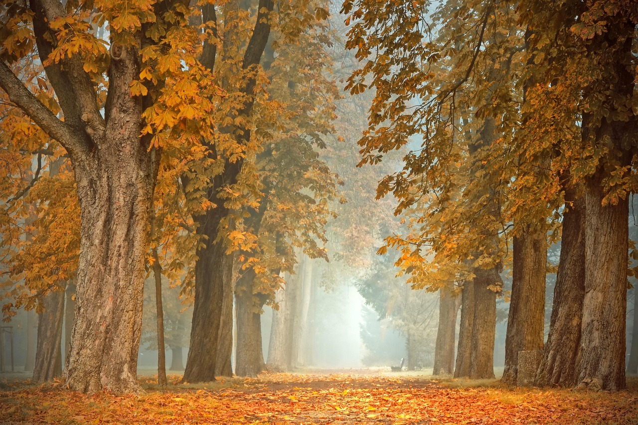 Gezellige herfstverlichting met kleurrijke bladeren decor. Gezellige herfstverlichting met kleurrijke bladeren decor.
