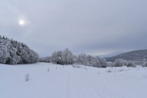 Canvas-Noorwegen-mysterieuze-landschappen-voor-een-winterse-uitstraling-pexels_20272387