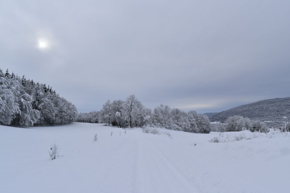 Canvas-Noorwegen-mysterieuze-landschappen-voor-een-winterse-uitstraling-pexels_20272387
