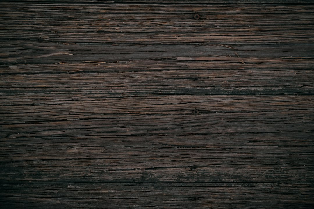 Herfstige-voederplekken-onder-de-trap-geniet-van-vogels-binnen-handbereik-unsplash_6vvIBTvL90A