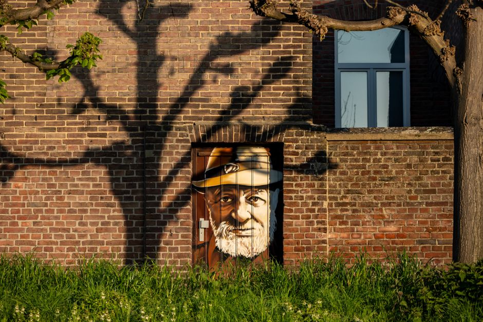 Krokodillenschilderijen-als-fascinerende-blikvanger-in-stijlvolle-huizen-pexels_37096991