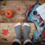 Schotse hooglander kunst als focuspunt voor een warme herfst