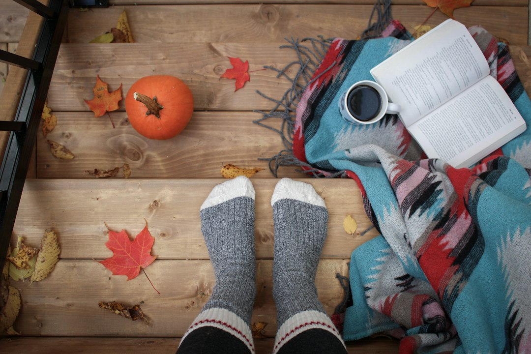 Schotse-hooglander-kunst-als-focuspunt-voor-een-warme-herfst-unsplash_NuO6iTBkHxE